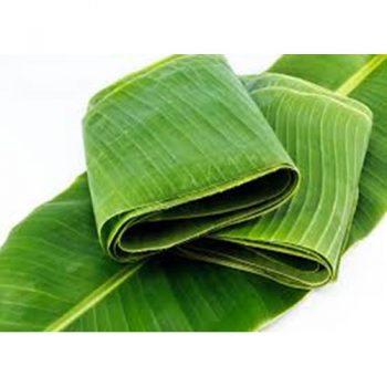 Banana Leaves (AZI-022)