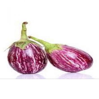 Striped Brinjal (AZI-005)