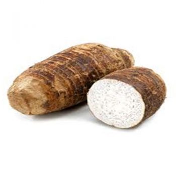 Cocoyam (AZU-009)