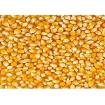 Crushed White Maize 1 Kgs (AZU-023)