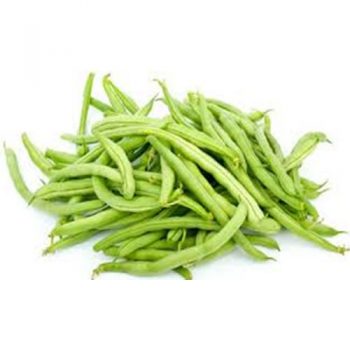 FreshBeans(AZP-005)