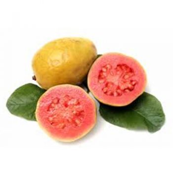 Guava (AZI-026)
