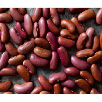Red Beans Fresh One (AZU-028)