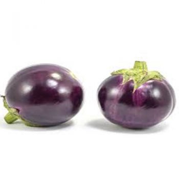 ROUND AUBERGINE (AZK-003)