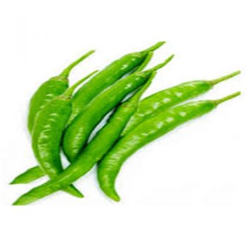 ThinChilli(AZP-009)